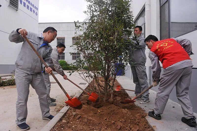 植树节  共绘“人与天然和谐共生”新画卷